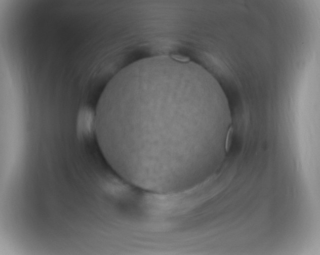 X0000113310041200909281133