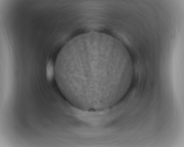 X0000113310042200909281133