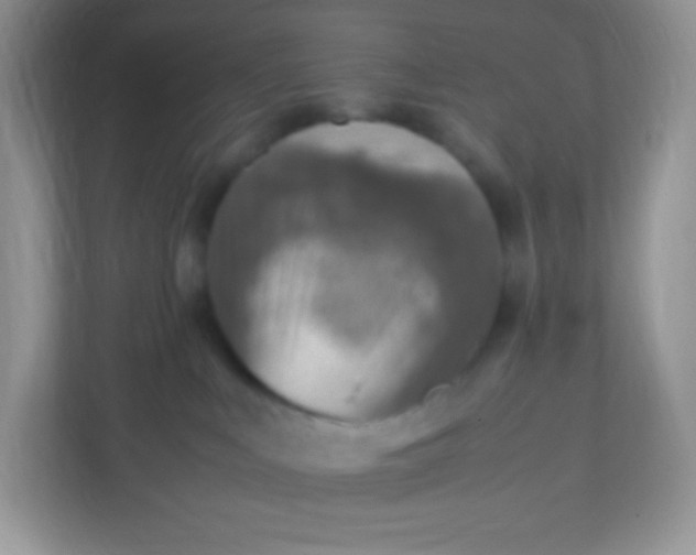 X0000113310043200909281133