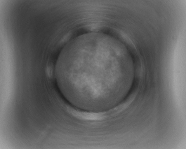 X0000113310044200909281133