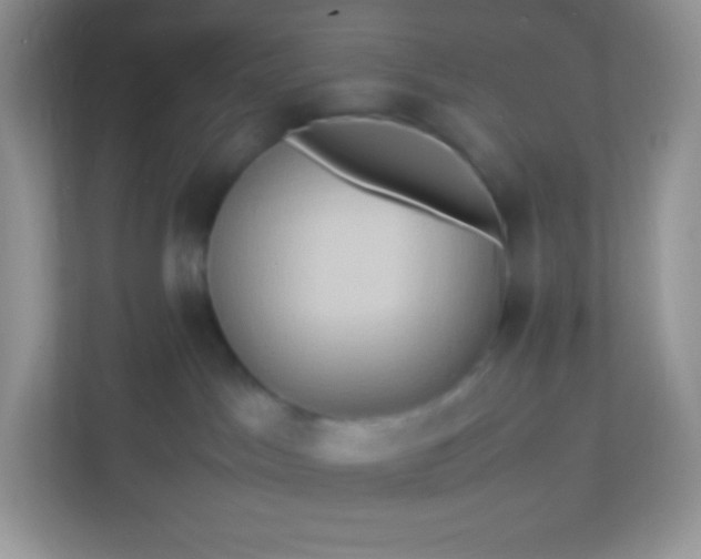 X0000113310045200909281133