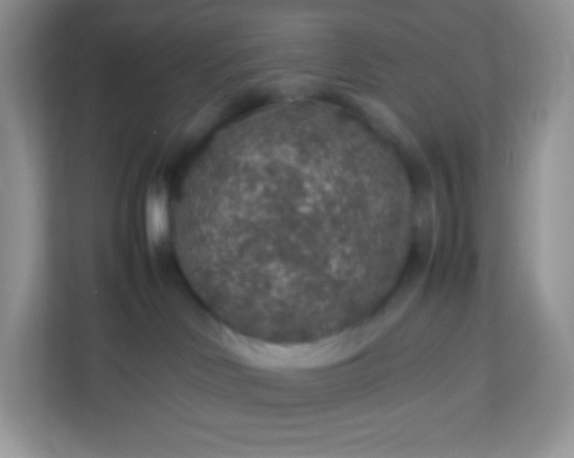 X0000113310046200909281133