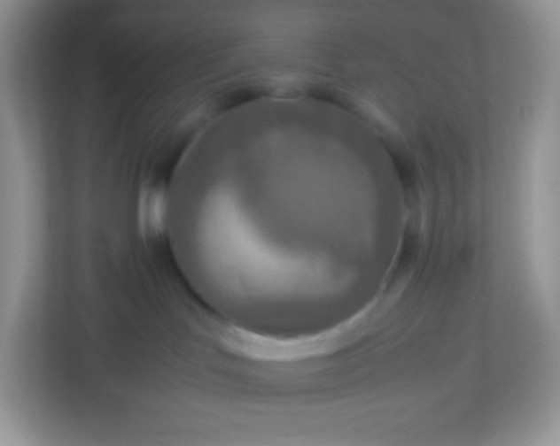 X0000113310047200909281133