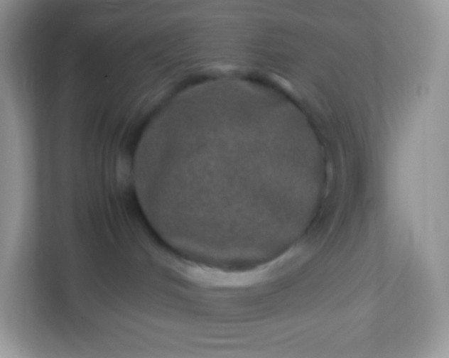 X0000113310048200909281133