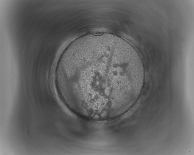 X0000113310049200909281132