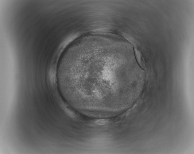 X0000113310050200909281132