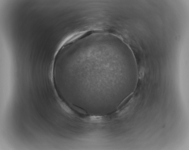 X0000113310052200909281132