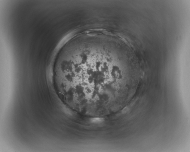 X0000113310053200909281132