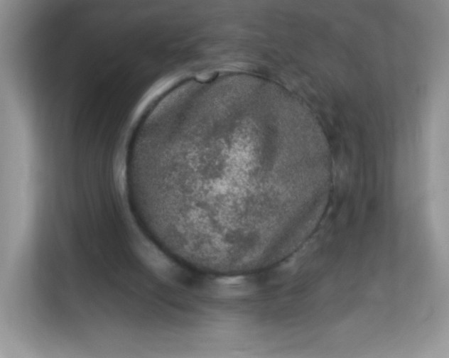 X0000113310054200909281133