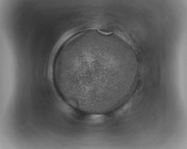 X0000113310055200909281133