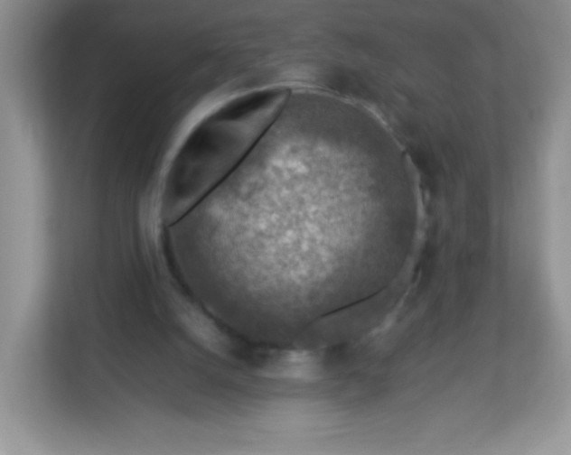 X0000113310056200909281133