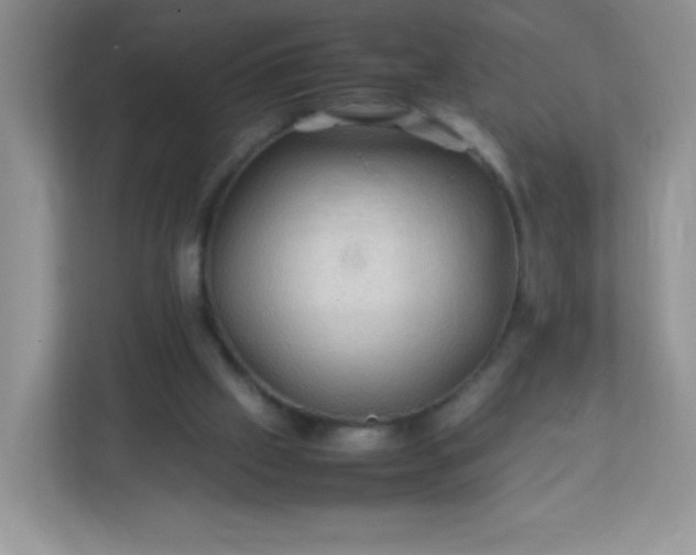 X0000113310057200909281133