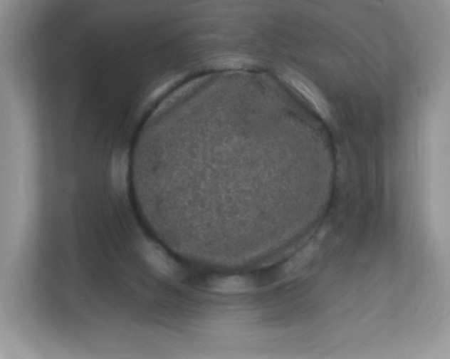 X0000113310058200909281133