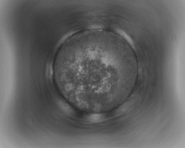 X0000113310059200909281133