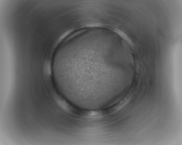 X0000113310060200909281133