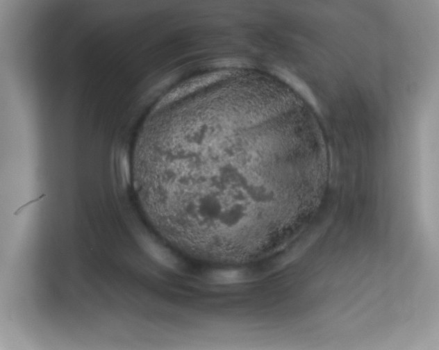 X0000113310061200909281133