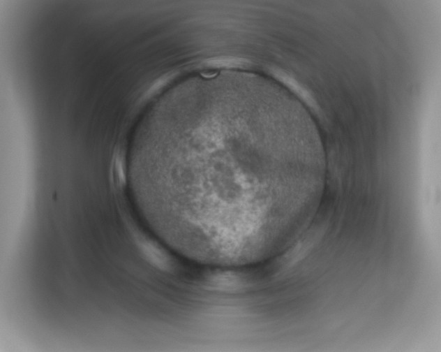 X0000113310062200909281133