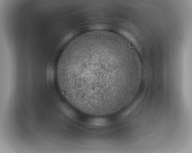 X0000113310063200909281133