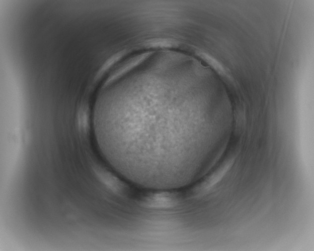 X0000113310064200909281133