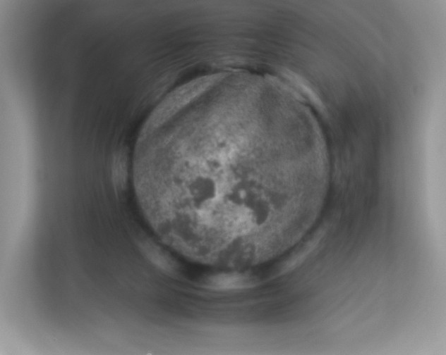 X0000113310065200909281133