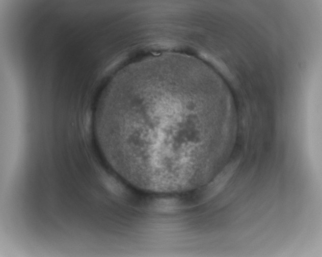 X0000113310066200909281133