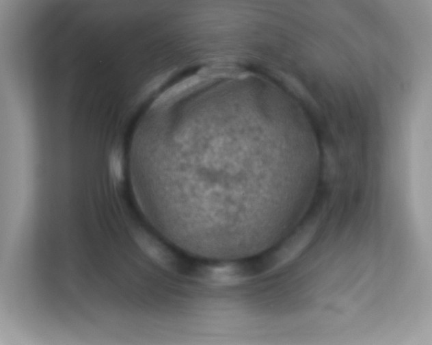 X0000113310068200909281133