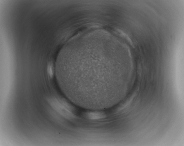 X0000113310069200909281133