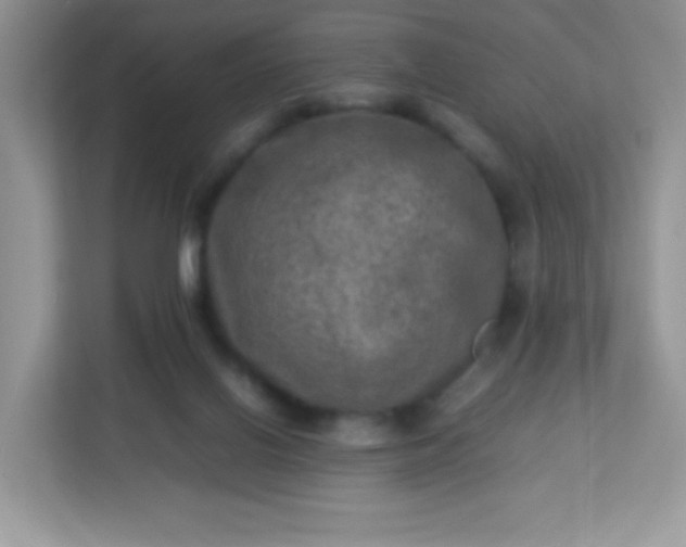 X0000113310070200909281133