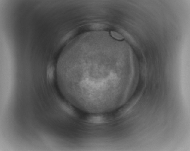 X0000113310071200909281133