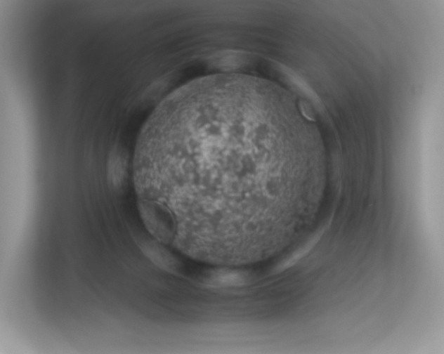 X0000113310073200909281133