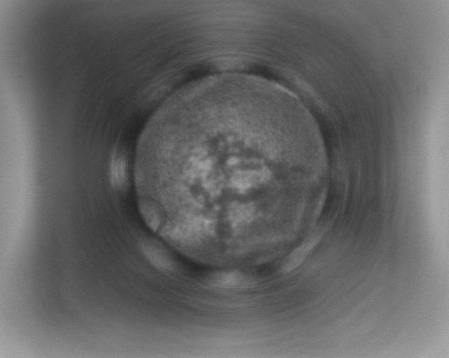 X0000113310074200909281133