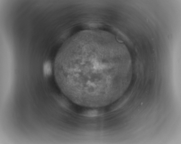 X0000113310075200909281133