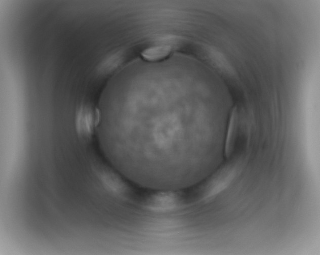 X0000113310076200909281133