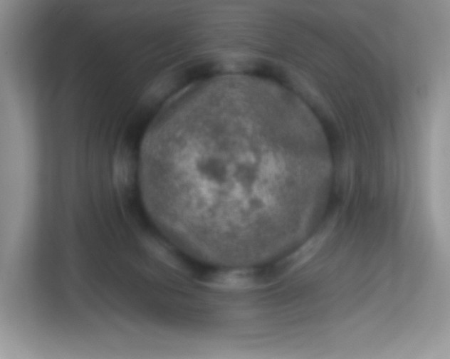 X0000113310078200909281133