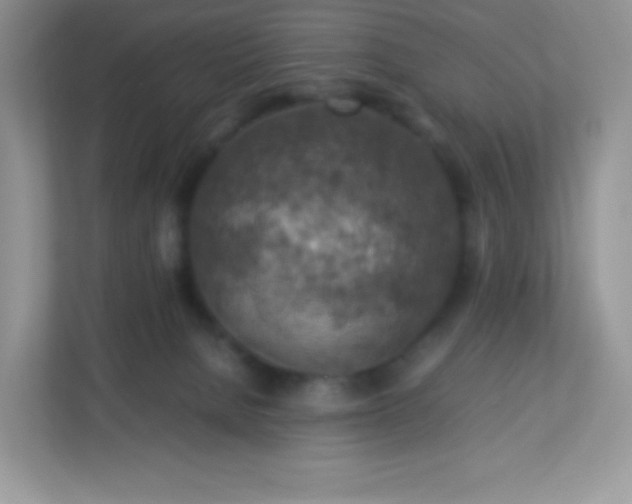 X0000113310080200909281133