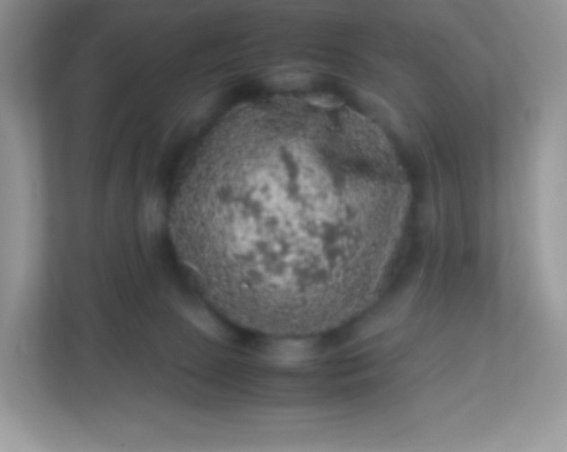 X0000113310081200909281133