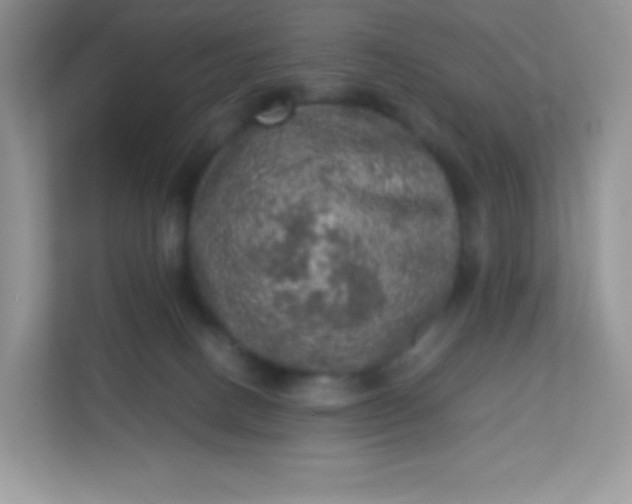 X0000113310082200909281133