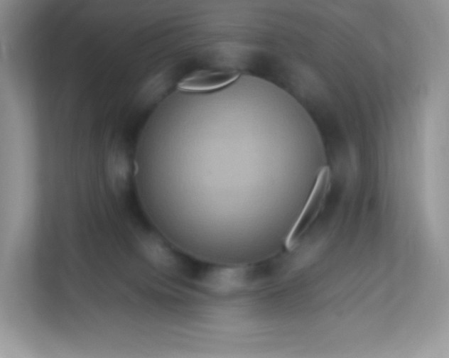 X0000113310084200909281133