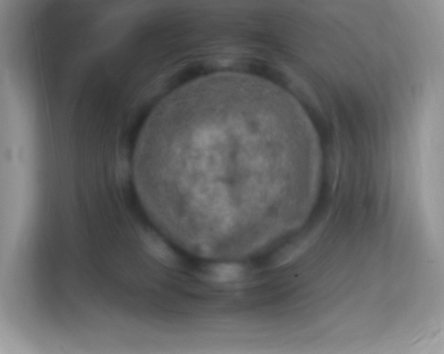 X0000113310085200909281133