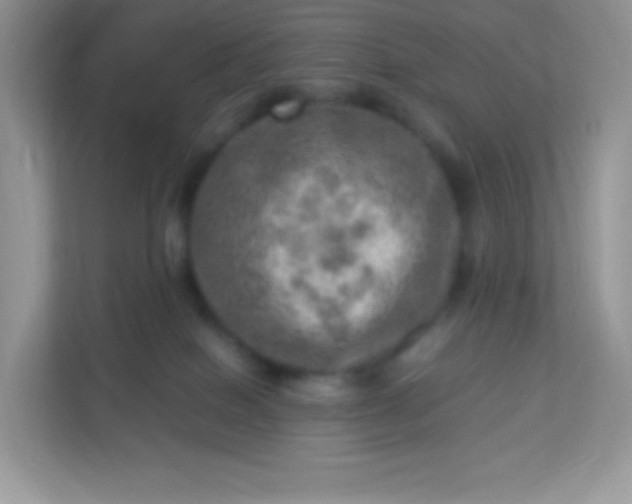 X0000113310086200909281133