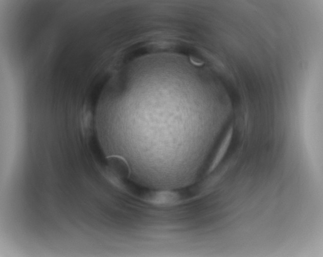 X0000113310087200909281133