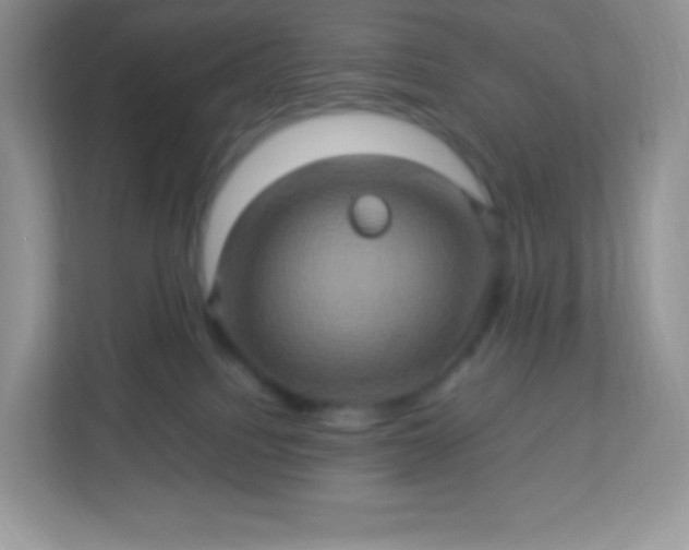 X0000113310088200909281133