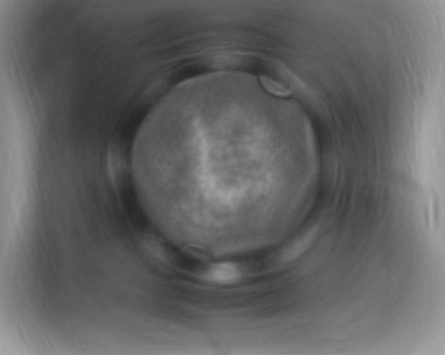 X0000113310091200909281133