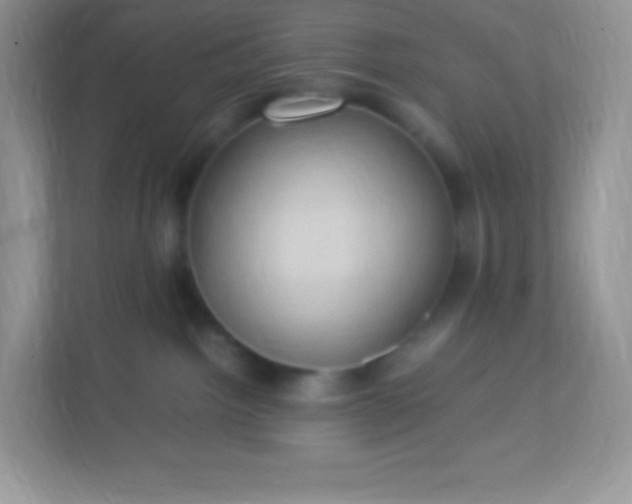 X0000113310092200909281133