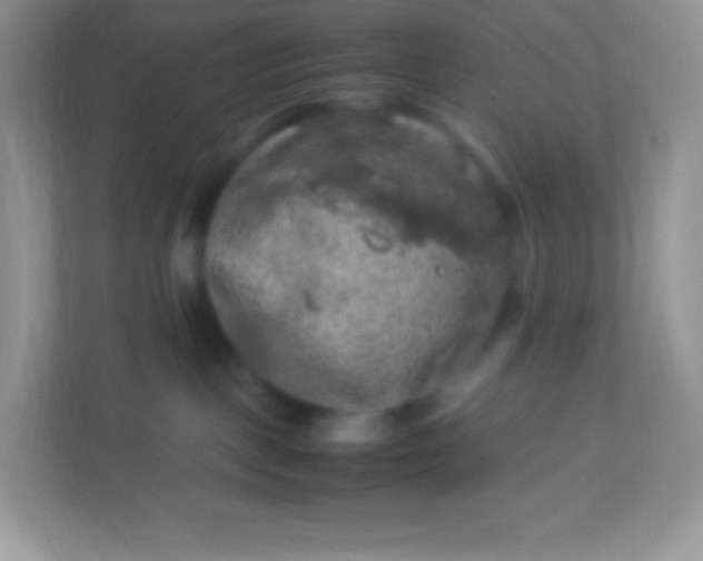 X0000113310093200909281133