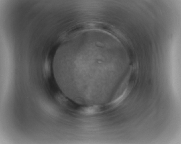 X0000113310094200909281133