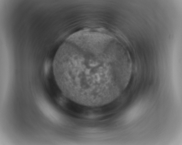 X0000113310095200909281133