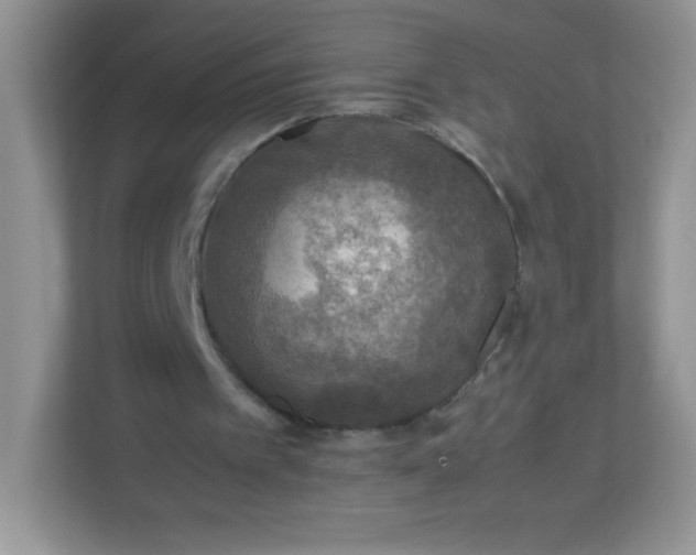 X0000113310097200909281132