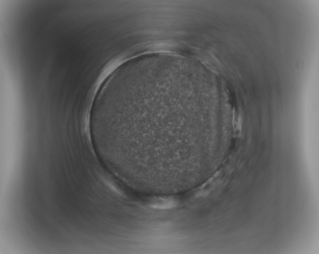 X0000113310099200909281132