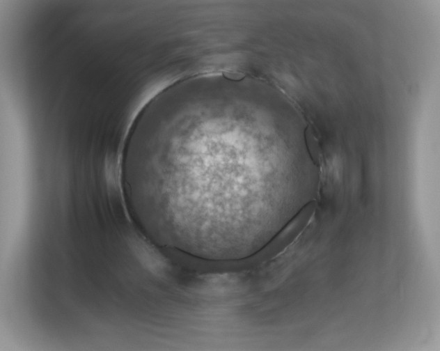 X0000113310100200909281132